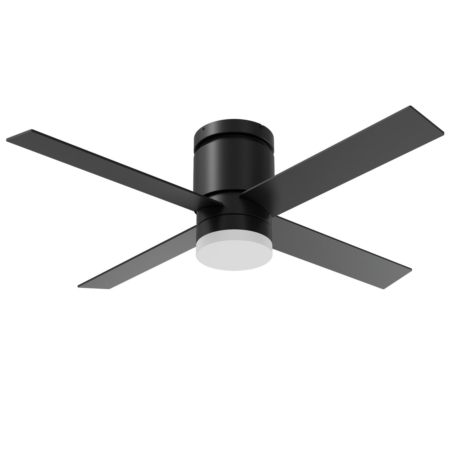 Fans